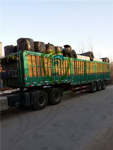 【室內(nèi)隔音板多少錢一平米隔音板安裝步驟詳解】-